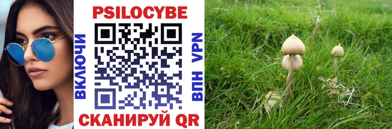 Псилоцибиновые грибы прущие грибы  купить наркоту  Минусинск 